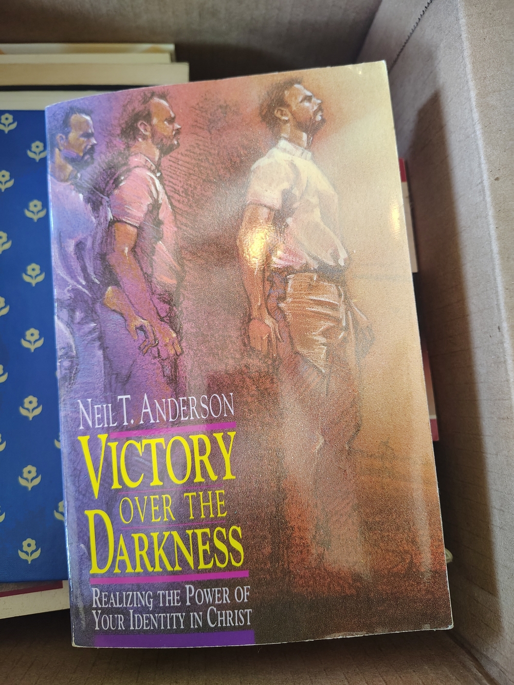 Victory Over the Darkness by - Brown/Purple Cover